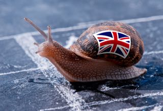 British Racing Snail